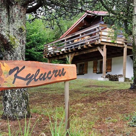 Chalet Kylucru 6 Personnes Classe 2 Etoiles Villa Xonrupt-Longemer Dış mekan fotoğraf